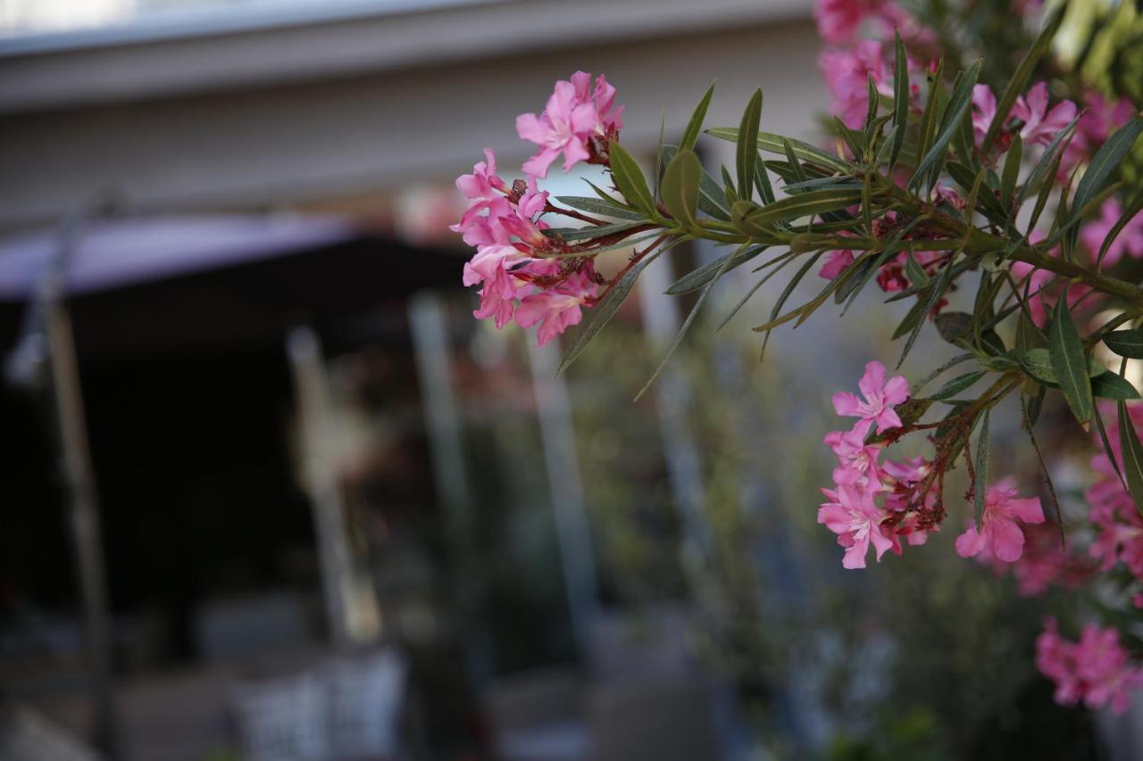 Guest House Lorenta Vodice Zewnętrze zdjęcie
