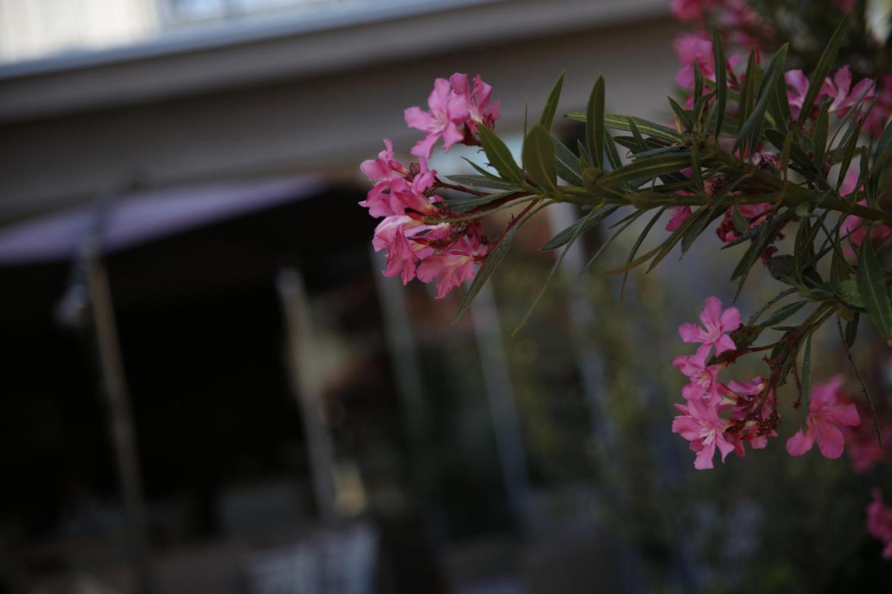 Guest House Lorenta Vodice Zewnętrze zdjęcie